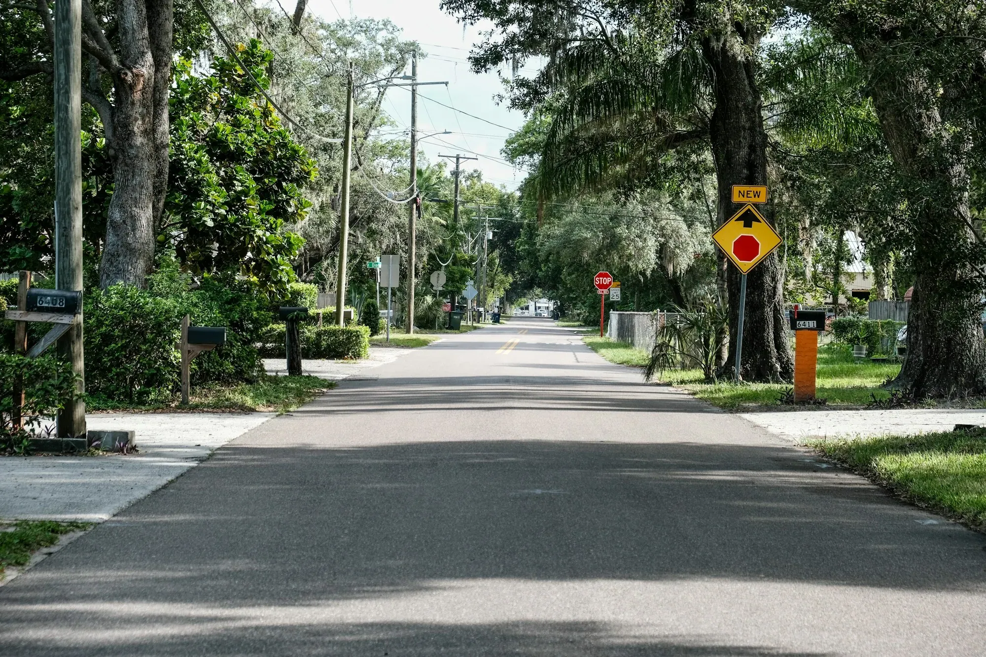 Quiet tree-lined residential street in a suburban neighborhood